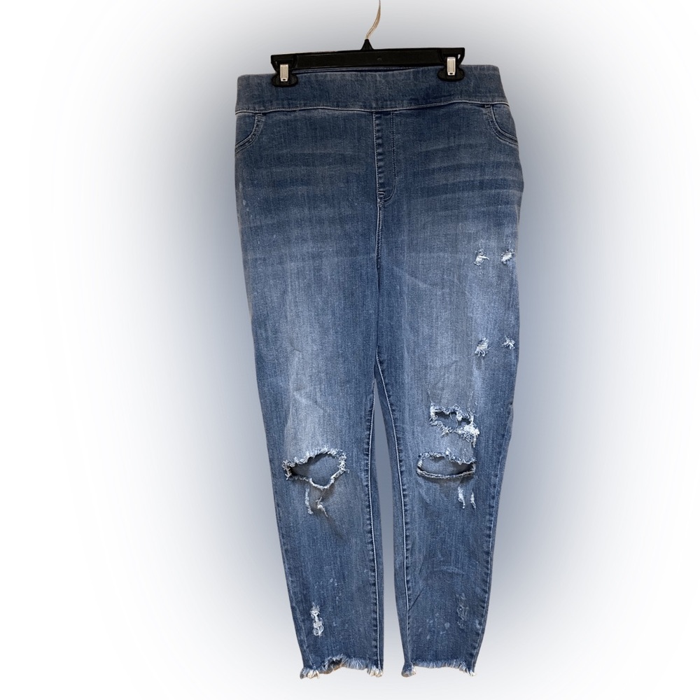 “Lane Bryant” Jean Jeggings 
Size 28
Brand New & Never Worn 
$40